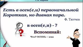 Правописание окончаний существительных в единственном числе