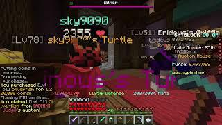 Buying silverfish pet from admin (Hypixel Skyblock)