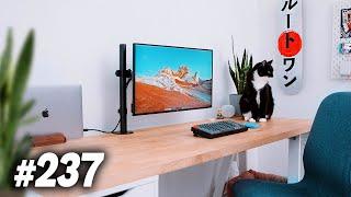 Room Tour Project 237 - Clean & Minimal Setups!