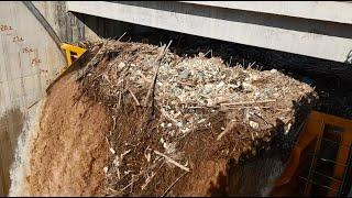 Radial gate with flap clearing debris