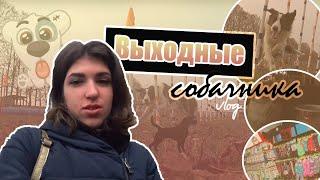 VLOG ~ ВЫХОДНЫЕ СОБАЧНИКА