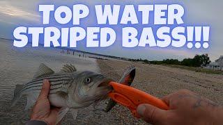 TOP WATER surfcasting for STRIPED BASS!!! (Plymouth, MA)