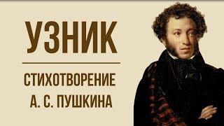 «Узник» А. Пушкин. Анализ стихотворения