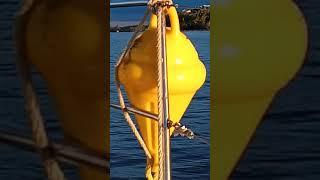 an old man's journey to sail solo around the world