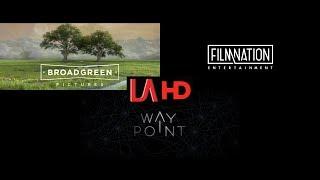 Broad Green Pictures/FilmNation Entertainment/Waypoint