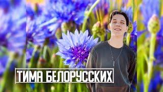 [FREE] ТИМА БЕЛОРУССКИХ Type Beat " Василёк" || Бит в стиле Тима Белорусских (by RosesCum)