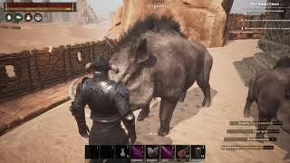 Conan Exiles / Топовые питомцы / Крупный Вепрь