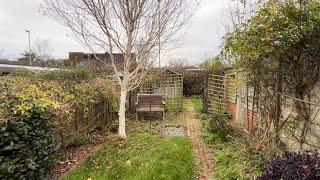 Epic Tidy up of Homeowners Back Yard (Sadly Tree had to Go!)