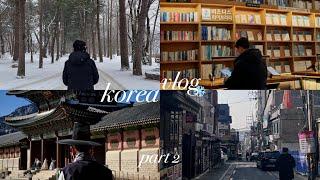 서울 korea vlog  | nami island, gyeongbokgung palace, starfield library, seoul tower, masjid itaewon