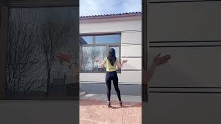 205后背摇