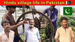 Hindu village life in Pakistan | Pakistani Hindu village in Pakistan | hemraj vlogs