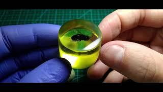 Poured Bee In Epoxy Resin | Залил Пчелу в Эпоксидную Смолу