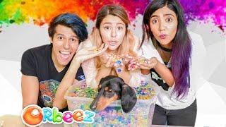 HIDDEN IN ORBEEZ CHALLENGE | POLINESIO CHALLENGE LOS POLINESIOS