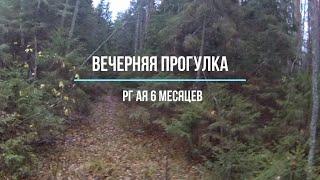 Вечерняя прогулка с Аей. Мы к нему вернёмся.