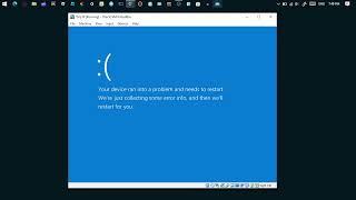 @BSOD-Windows10  Has BSOD VM