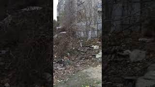 Бесплатное жилье в Харькове #харьков #харьковсегодня