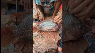 Most Popular Giant Size Talapia Fish Cutting Skills by Expert Fish Cutter  || #shorts #fish