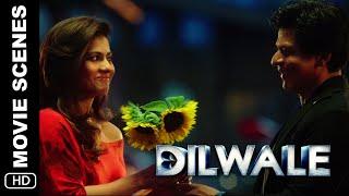 Meera & Kaali's Romantic Date | Dilwale Scene | Shah Rukh Khan, Kajol, Varun Dhawan, Kriti Sanon