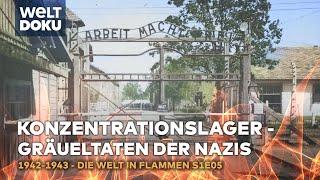 1942-1943 - Konzentrationslager und die Gräueltaten der Nazis | Die Welt in Flammen WELT DOKU S1E05