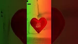 bzik#army