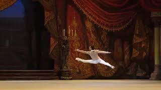 Sergei Polunin   Grand Pas from the ballet Paquita