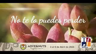 AOVE AND NUTS 2024