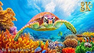 Aquarium 8K VIDEO (ULTRA HD) - Sea Animals With Relaxing Music - Rare & Colorful Sea Life Video