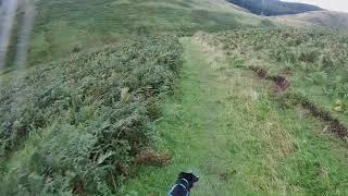 Clennell Street - Usway Burn MTB Bikejöring / bikejoring descent