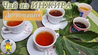 ЧАЙ из ИНЖИРА: какой вкус, цвет и аромат - 5 видов чая из листьев инжира