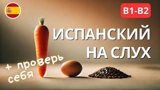 Практика аудирования испанского: Рассказ с переводом и проверкой через обратный перевод В1-B2