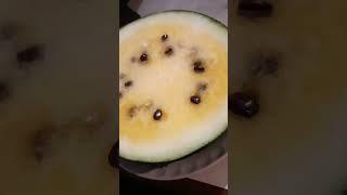АРБУЗ СОРТ ЯНУСИК ОЧЕНЬ ВКУСНЫЙ #огород #shorts #урожай