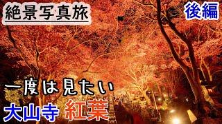 神奈川紅葉ランク2位大山の紅葉絶景を撮る旅②～阿夫利神社・大山寺夜～ vlog Japan awesome autumn leaves spot.