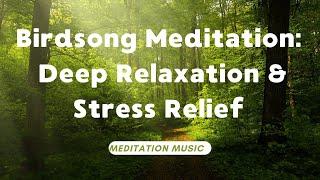Birdsong Meditation: Deep Relaxation & Stress Relief | Nature Sounds for Sleep & Focus