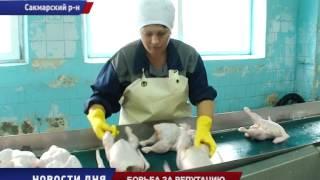 Борьба за репутацию