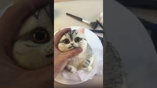 Handmade tutorial:makeup the huge squishy kitty #squishy #cat #cute #satisfying #stressrelief