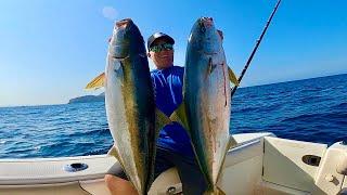 INSANE Yellowtail Fishing! Coronado Islands Mexico (CATCH, CLEAN and COOK)