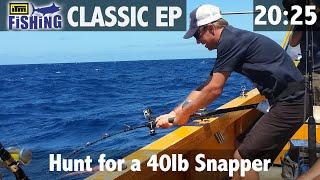 Hunt for the 40lb snapper