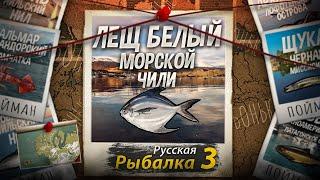 "Мутант" Лещ Морской Белый. Побережье Чили. Русская Рыбалка 3.