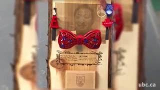 3D Bowtie