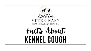 FACTS about "Kennel Cough"