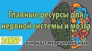 Восстановление нервной системы! Восстановление головного мозга! Главные ресурсы для восстановления.