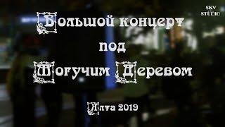 KOORAGA - Большой концерт под Могучим Деревом