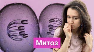 МИТОЗ