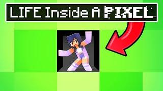 Life inside a PIXEL in Minecraft!