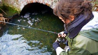 Exploring Small Streams - Multi Species Fishing!