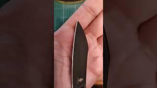 Результат заточки Kizer Klipper на стали 154СМ. Финиш - альфа 5/3