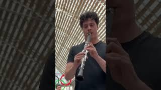 When 5 musicians meet Raphaël Froissart with Clarinet in the subway 