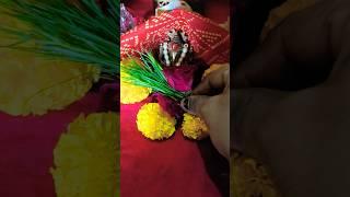 18 June Budhwar ki ashtmi ke din yah upay striyan Jarur Karena karodpati ban jaaoge