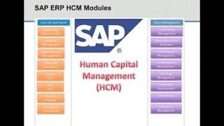 SAP HCM Modules #SAP Technologies