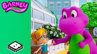 L'ho fatto io  Ecco Barney | Il Mondo di Barney | Boomerang Italia